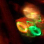 image: Image from the photoset ‘
spoken word
’.