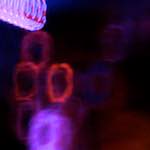 image: Image from the photoset ‘
spoken word
’.