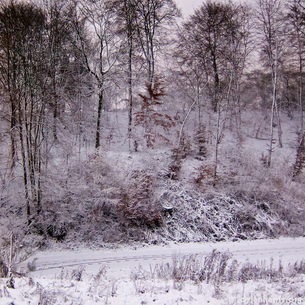 image: This is ‘
way to work B (ii) 1
’.