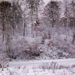 image: Image from the photoset ‘
way to work B (ii)
’.