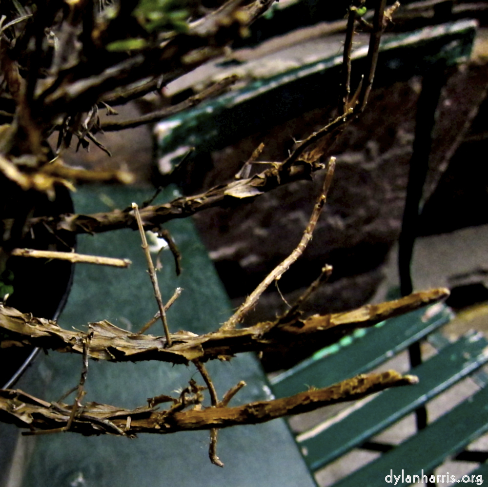 image: This is ‘
metro (ii) 2
’.