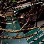 image: Image from the photoset ‘
metro (ii)
’.