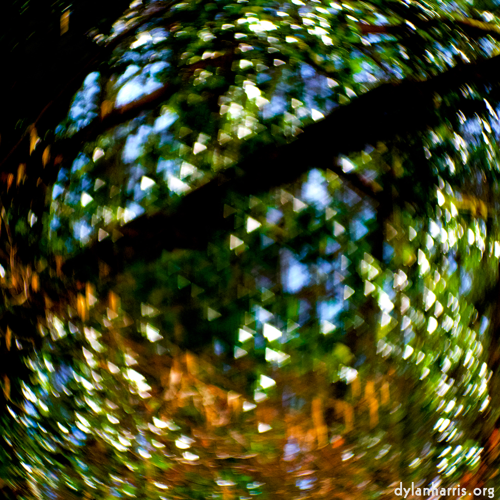 image: Image 'terres rouges (xi) 2'