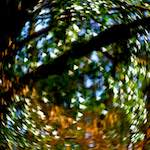 image: Image from the photoset ‘
terres rouges (xi)
’.