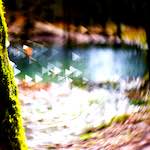 image: Image from the photoset ‘
terres rouges (xi)
’.