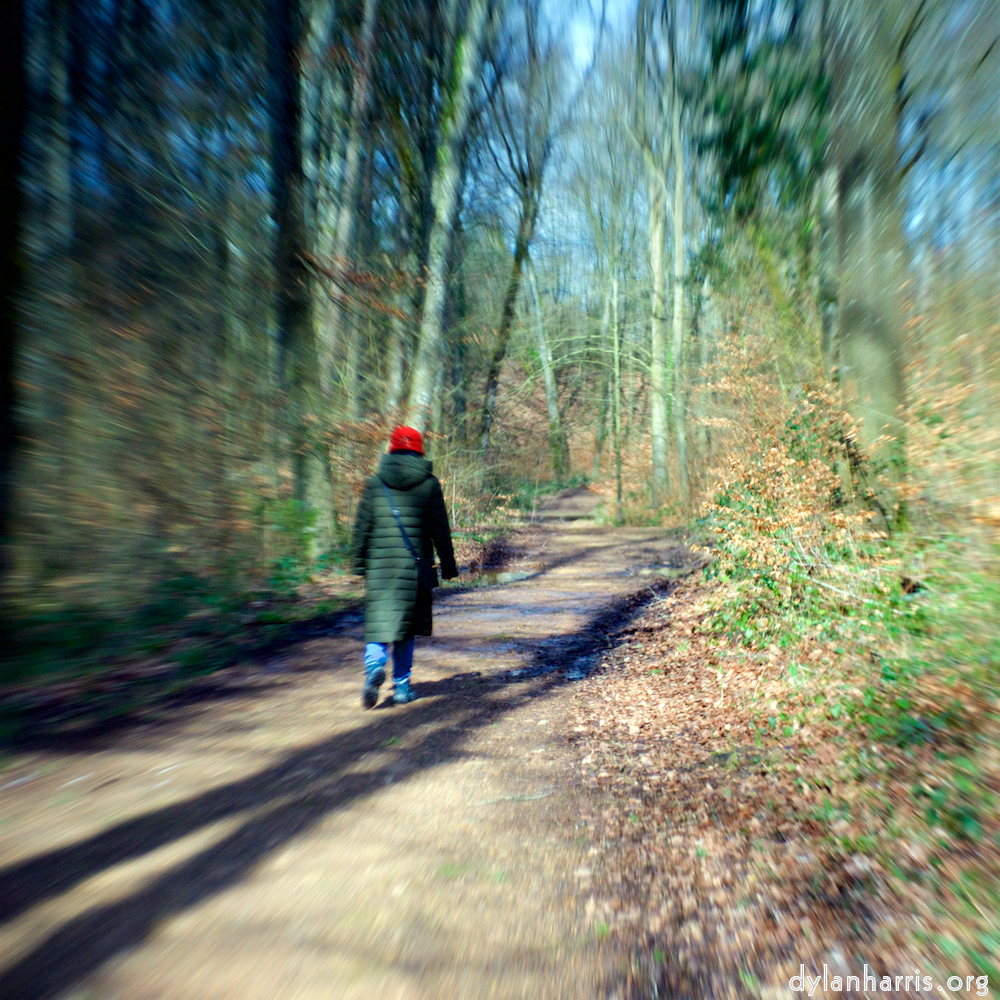 image: This is ‘
L (xxv) 1
’.