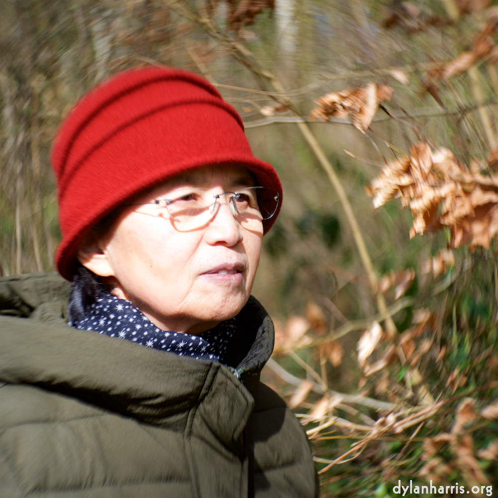 image: This is ‘
L (xxv) 2
’.