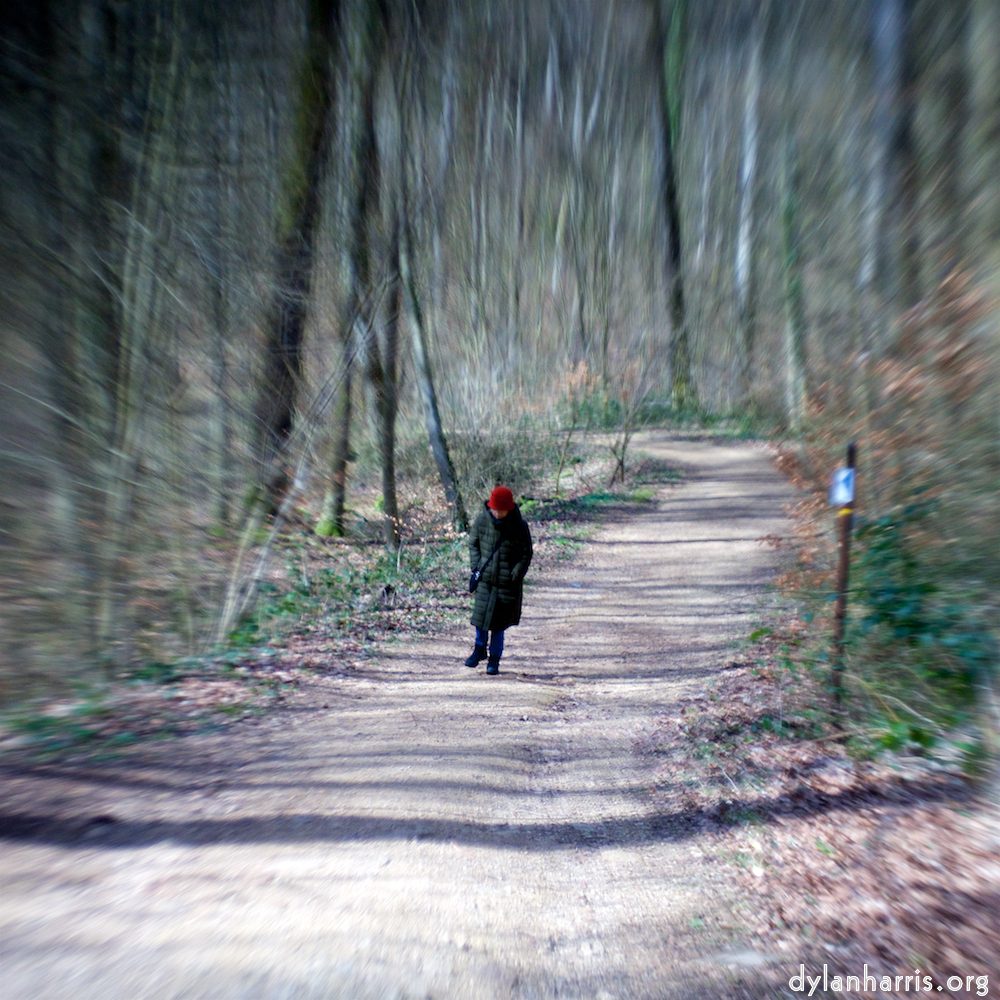 image: This is ‘
L (xxv) 4
’.