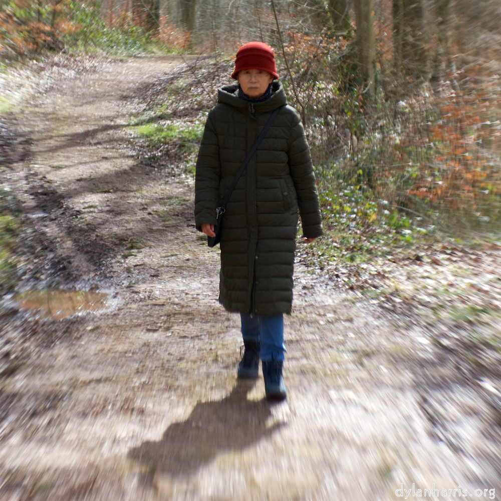 image: This is ‘
L (xxv) 6
’.