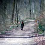 image: Image from the photoset ‘
L (xxv)
’.