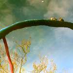 Image: Third image from the photoset 'eindhoven (iii)'.