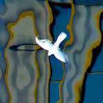 image: Image from the photoset ‘
europort (ii)
’.