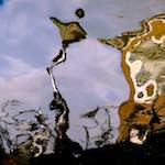 Second image from the photoset 'utrecht (ii)'.