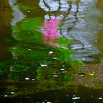 Image: Second image from the photoset 'utrecht (v)'.