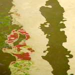 Fifth image from the photoset 'utrecht (vii)'.