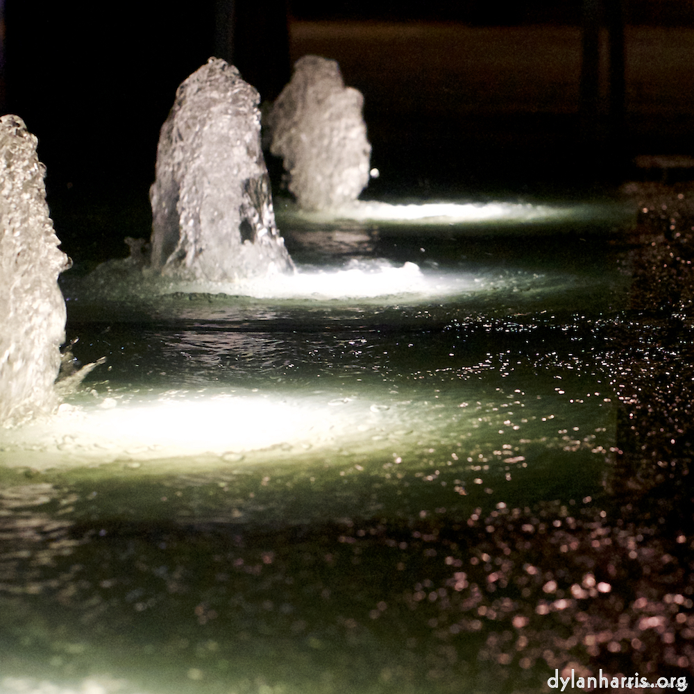 image: Image 'esch–sur–alzette (iii) 2', at Escher Déierepark, head and torso of a doe.