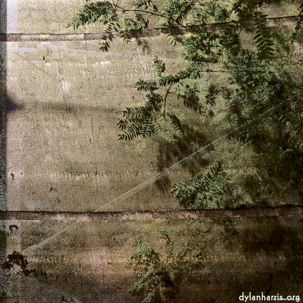 image: Image 'esch–sur–alzette (iii) 3', at Escher Déierepark, the head and crest of a chicken.