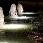 Second image of Escher Déierepark, from the photoset 'esch–sur–alzette (iii)'.