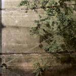 Third image of Escher Déierepark, from the photoset 'esch–sur–alzette (iii)'.