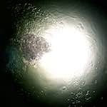 Fourth image of Escher Déierepark, from the photoset 'esch–sur–alzette (iii)'.