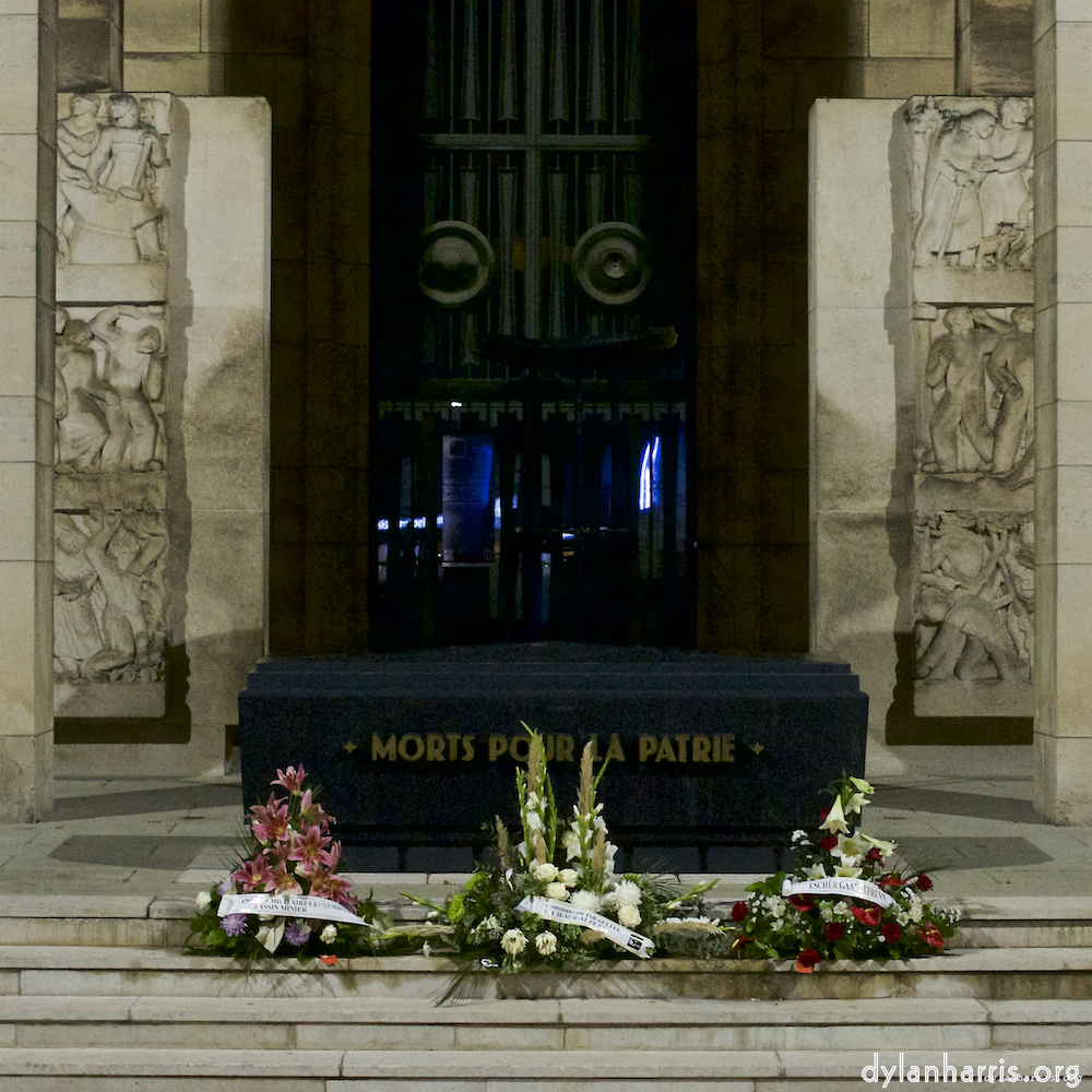 Image 'esch–sur–alzette (iv) 2', at Escher Déierepark, head and torso of a doe.