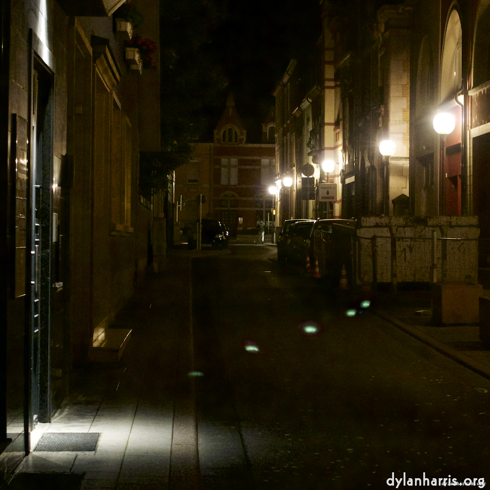 Image 'esch–sur–alzette (iv) 5', of daffodils.