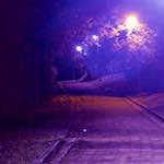 Fourth image of Escher Déierepark, from the photoset 'esch–sur–alzette (iv)'.