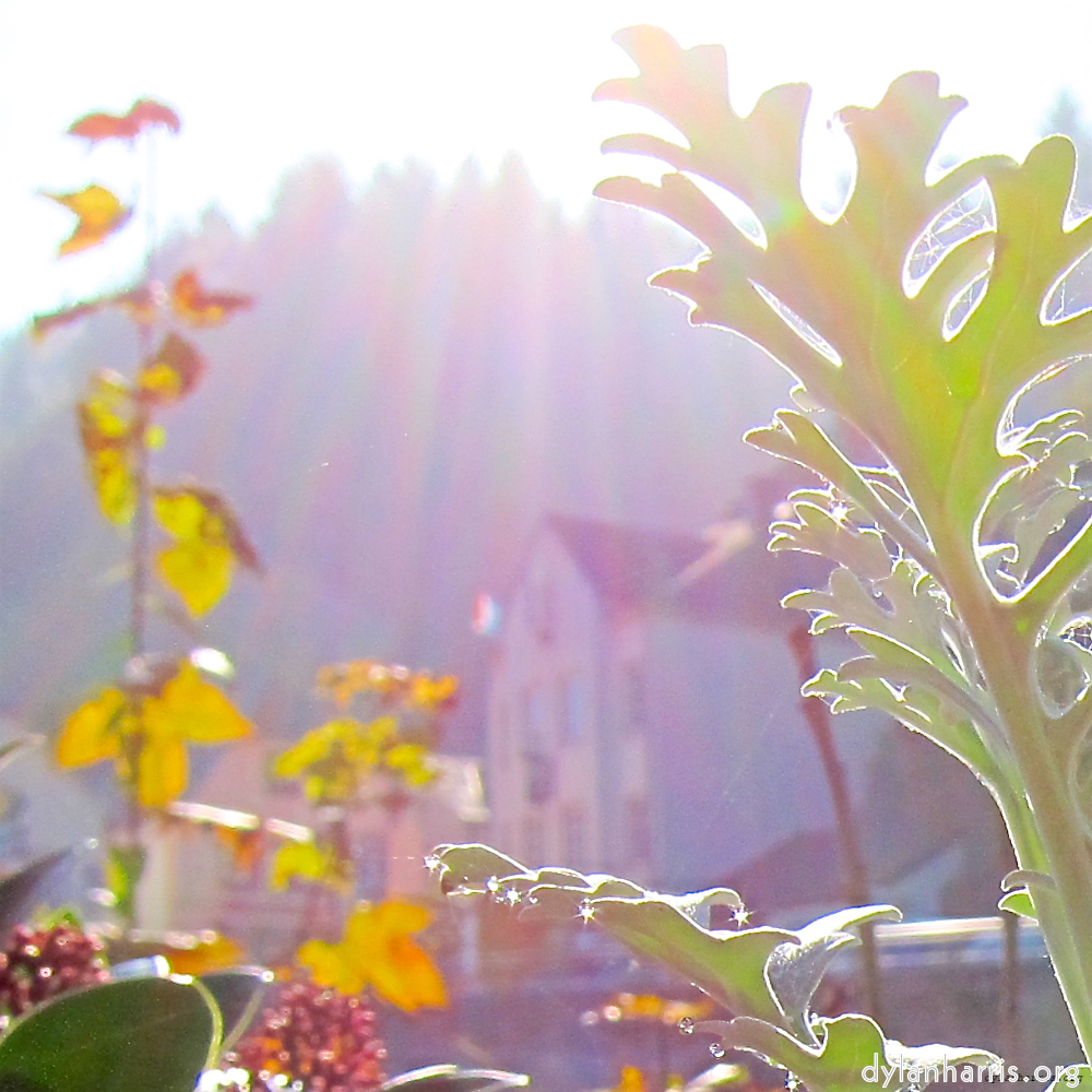 Image: Image 'veianen (iv) 3'.