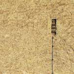 Image: First image from the photoset 'veianen (iv)'.