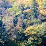 Image: Second image from the photoset 'veianen (iv)'.