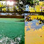 Image: Sixth image from the photoset 'veianen (iv)'.