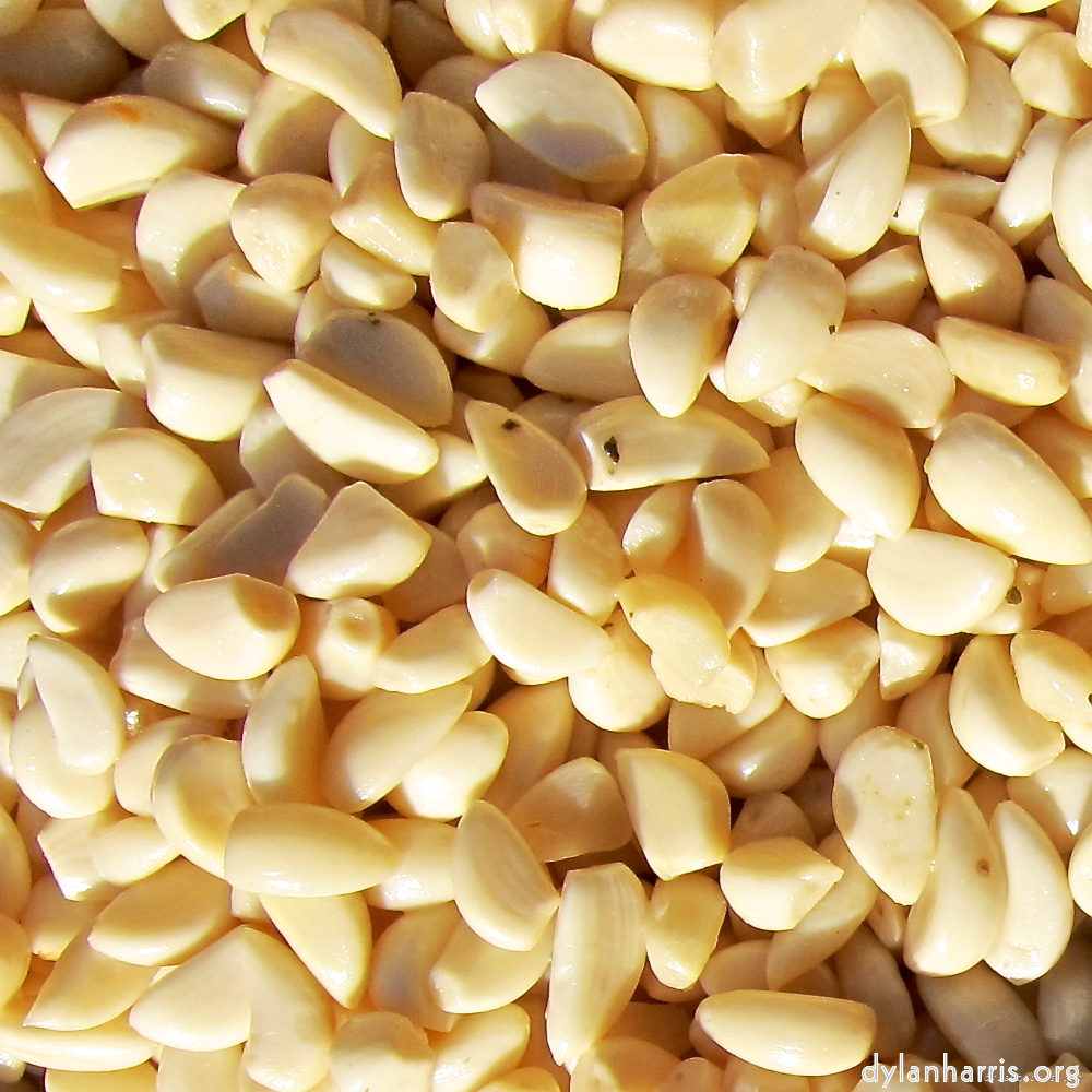 Image: Image 'veianen (v) 4'.