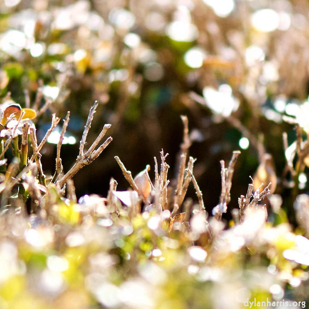 image: Image 'place de la résistance 1', at Place de la Résistance.