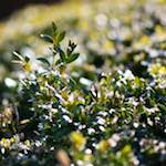 image: Second image of Place de la Résistance, from the photoset 'place de la résistance'.