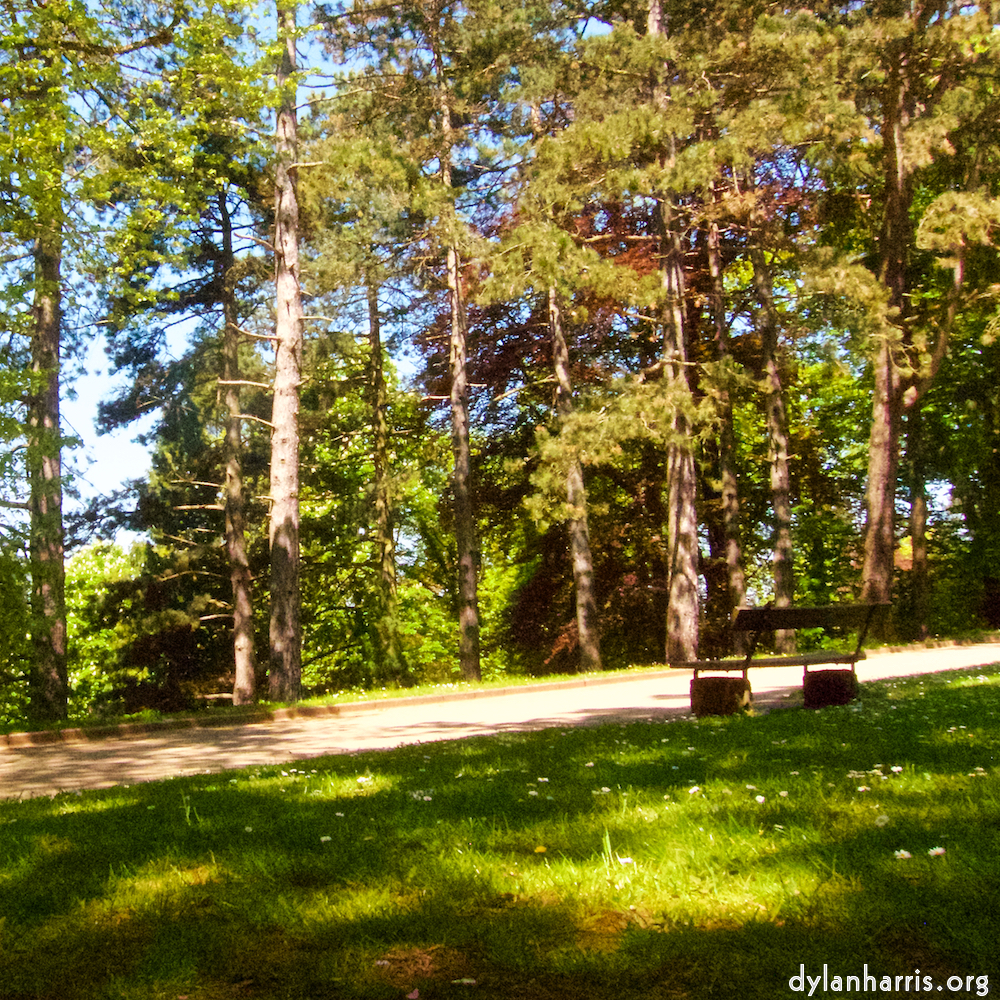 Image: Image 'escher blummen (x) 1'.