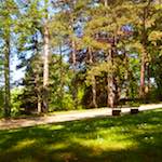 Image: First image from the photoset 'escher blummen (x)'.