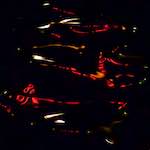 Image: Third image from the photoset 'amsterdam (xxv)'.