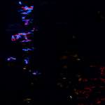 Image: Fifth image from the photoset 'amsterdam (xxv)'.