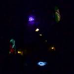 Eighth image from the photoset 'amsterdam (xxvi)'.