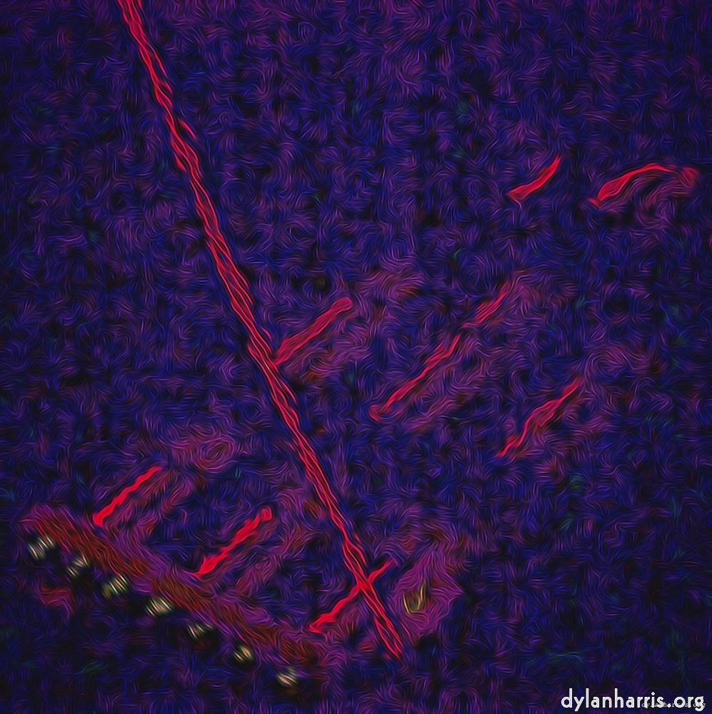 Image: Image 'amsterdam (xxxi) 2'.