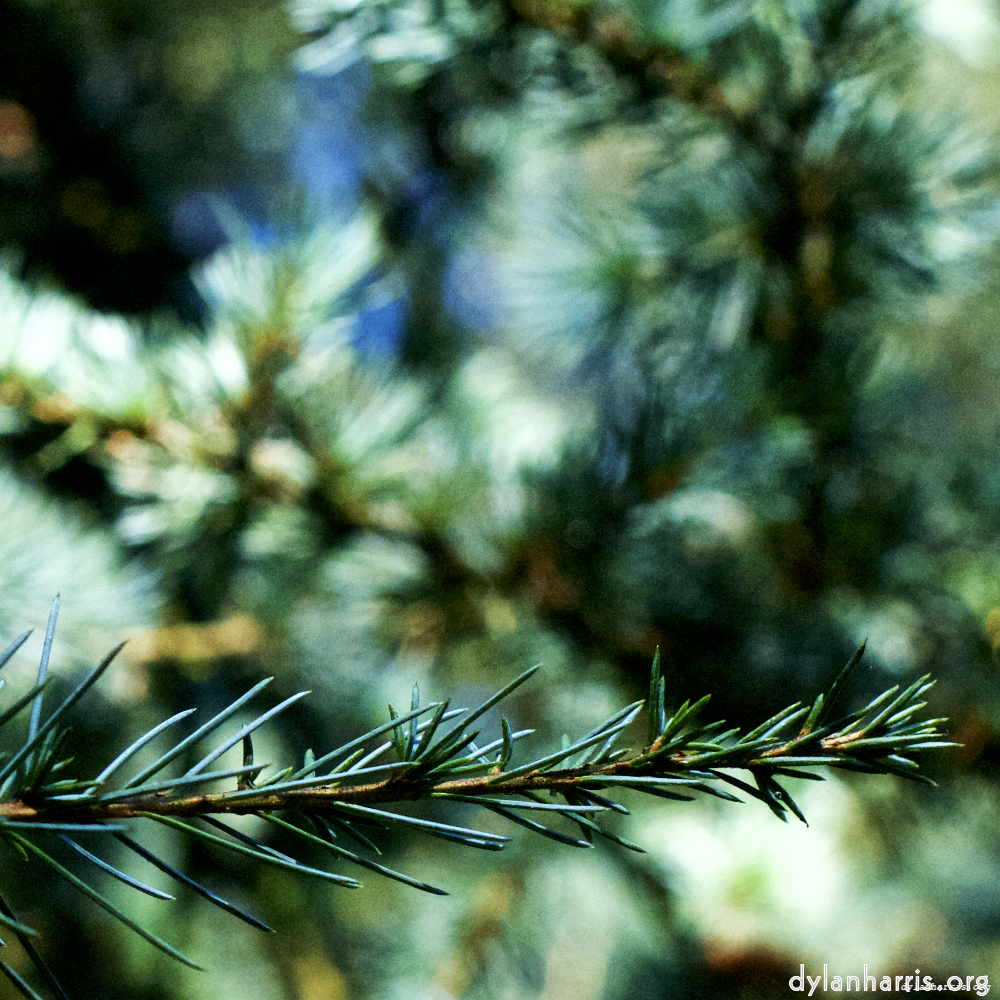 Image 'esch–sur–alzette (v) 4', at Escher Déierepark, a doe realises I’ve no treats.