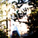 Third image of Escher Déierepark, from the photoset 'esch–sur–alzette (v)'.