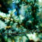 Fourth image of Escher Déierepark, from the photoset 'esch–sur–alzette (v)'.