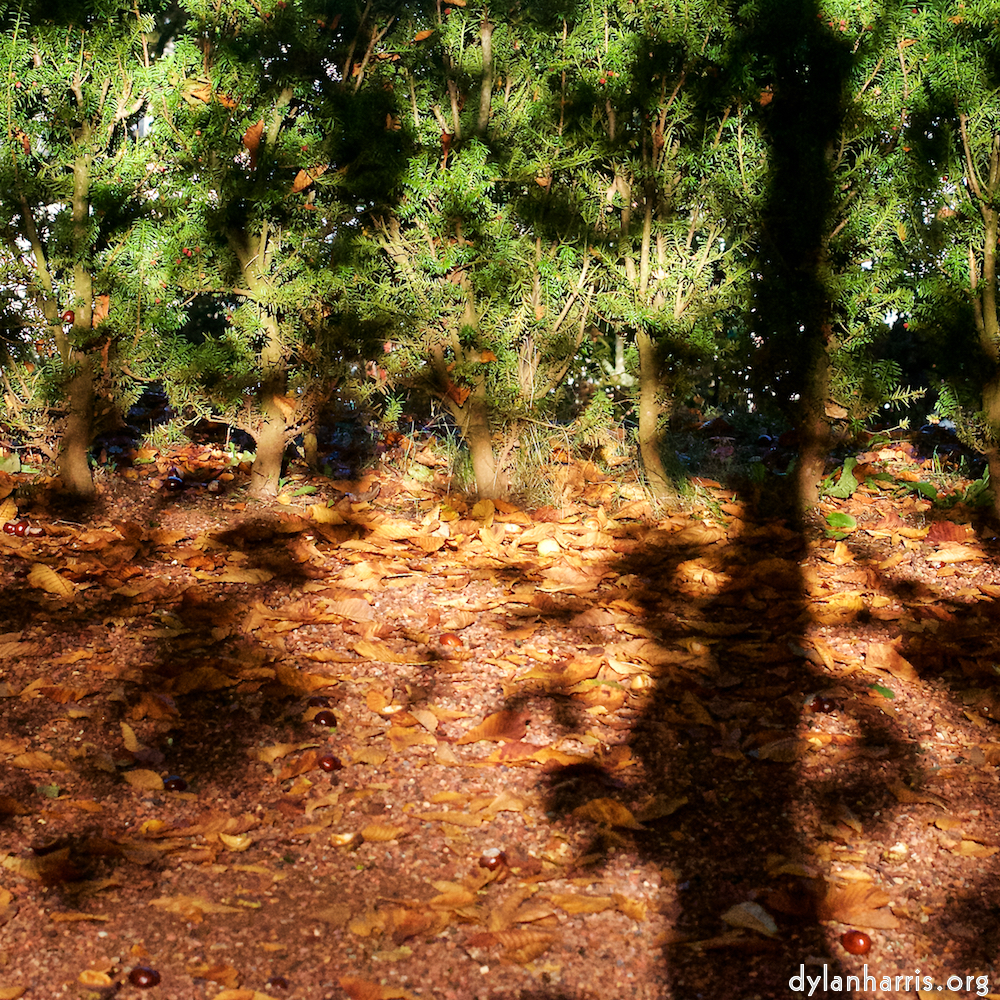 image: This is ‘
autumn (iv) 1
’.