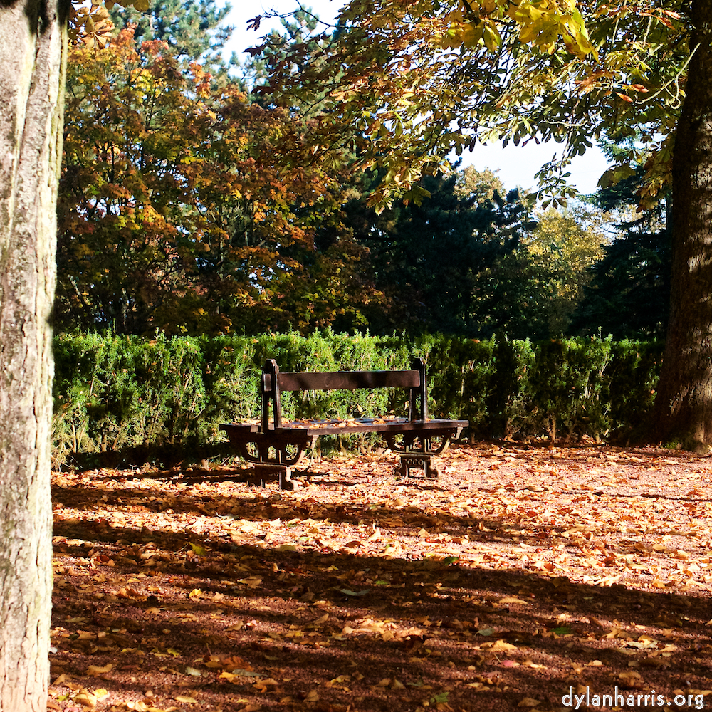 image: This is ‘
autumn (iv) 3
’.