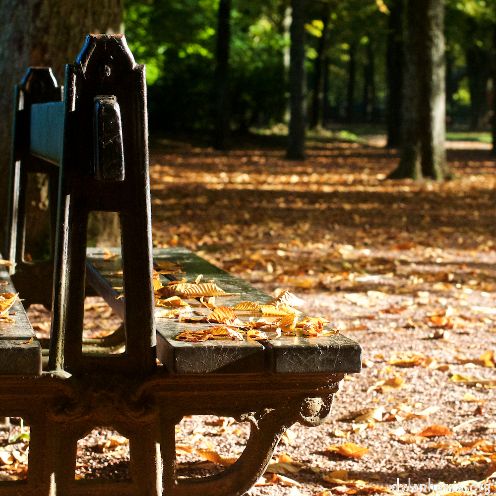 image: This is ‘
autumn (iv) 5
’.