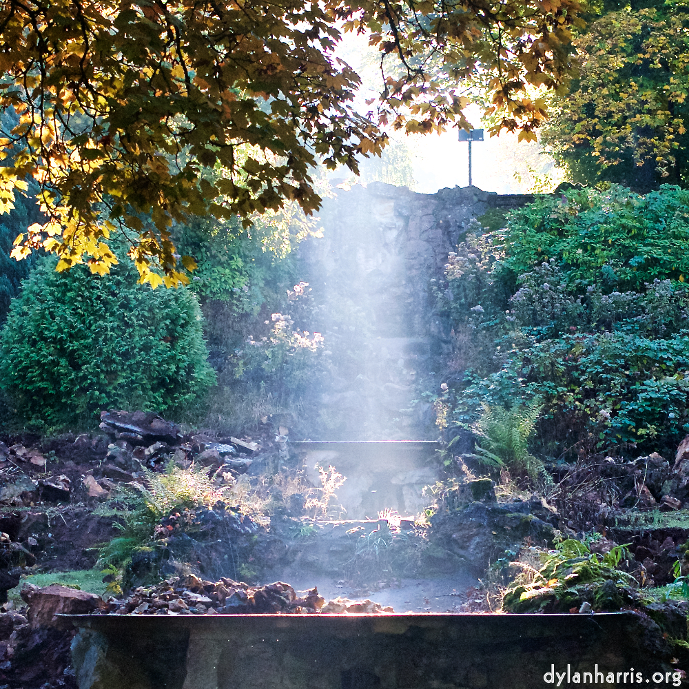 image: This is ‘
autumn (iv) 8
’.