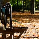 image: Image from the photoset ‘
autumn (iv)
’.