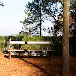 image: Image from the photoset ‘
autumn (iv)
’.