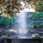 image: Image from the photoset ‘
autumn (iv)
’.